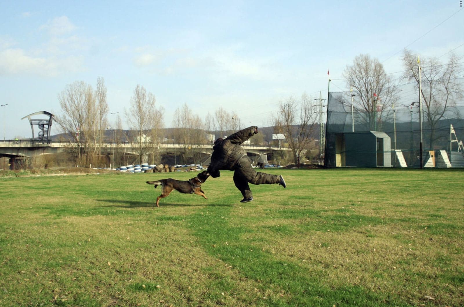Man VS Dog